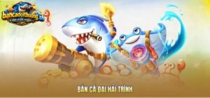 Khám phá đại dương trong đại hải trình 