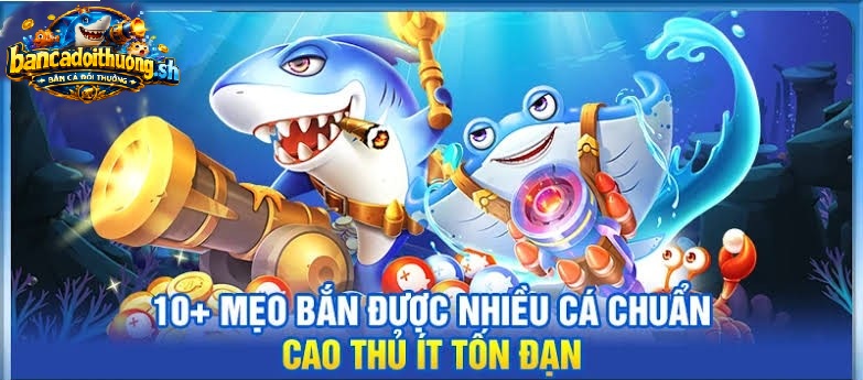 10+ mẹo bắn được nhiều cá chuẩn cao thủ ít tốn đạn