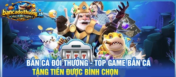 Tìm hiểu kỹ thông tin và điều kiện của chương trình khuyến mãi