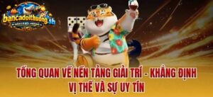 Tổng quan về nền tảng giải trí khẳng định vị thế và sự uy tính 