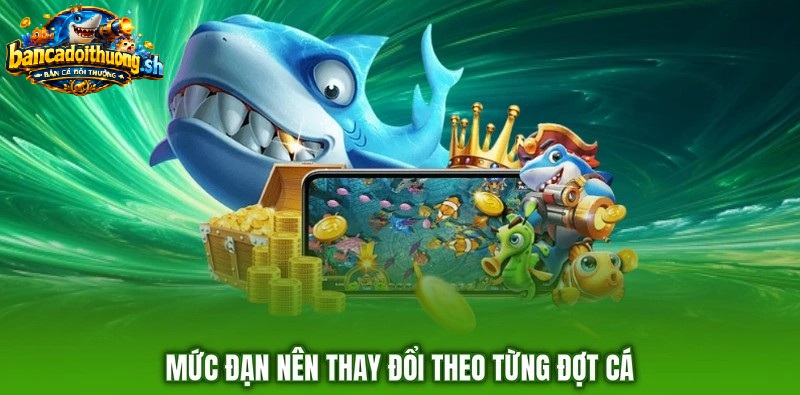 Mức đạn nên thay đổi từng đợt cá 