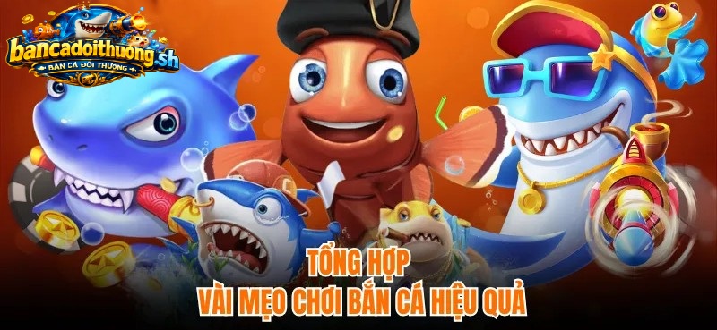 4+ Mẹo Chơi Bắn Cá Siêu Thị tổng hợp chơi hiệu quả